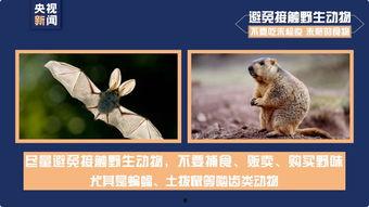 今日动物爆料最新消息新闻,最新奇特的动物新闻盘点  第2张